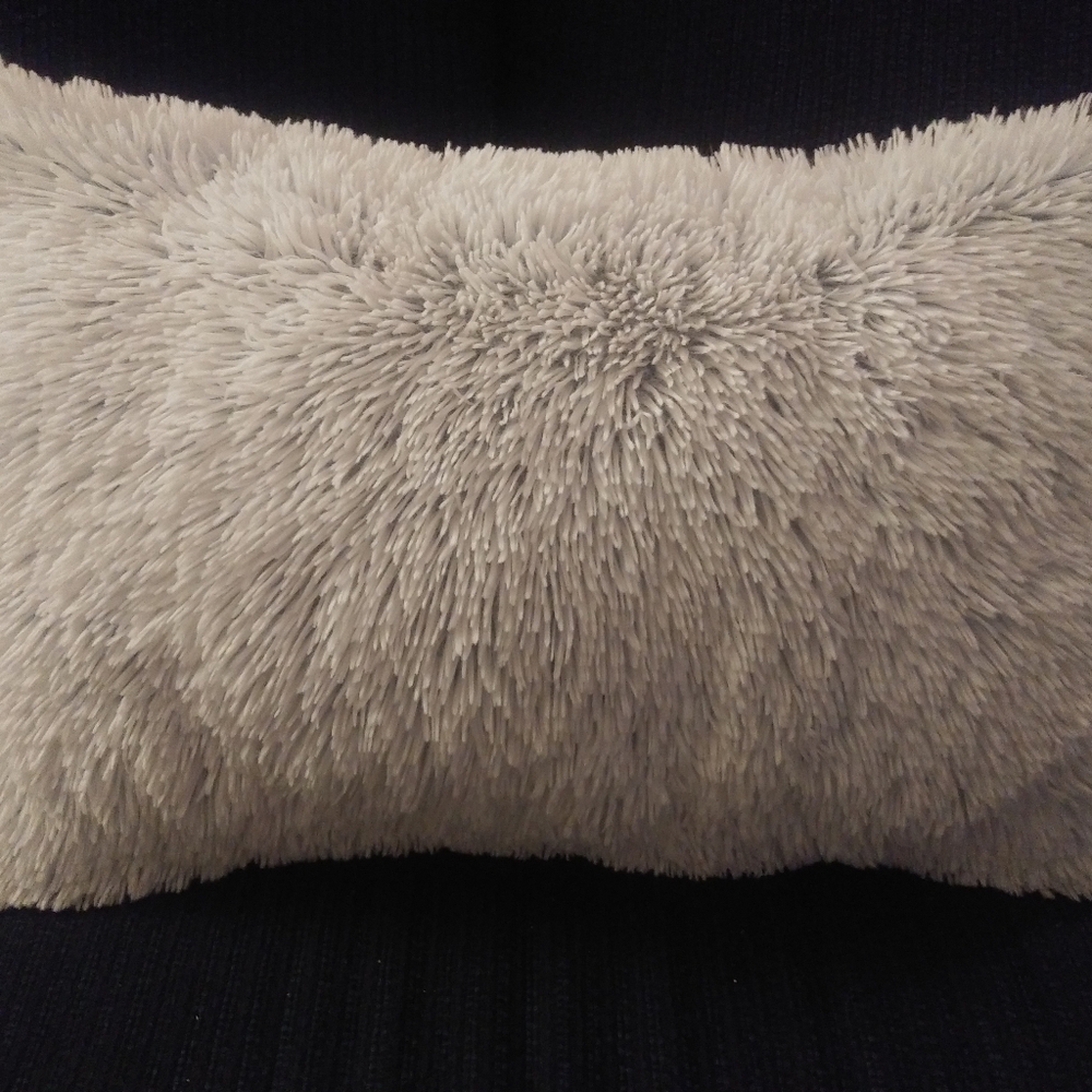Decorative oblong couch/bed pillows